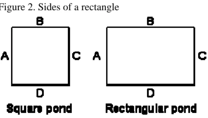 Figure 2. Sides of a rectangle 