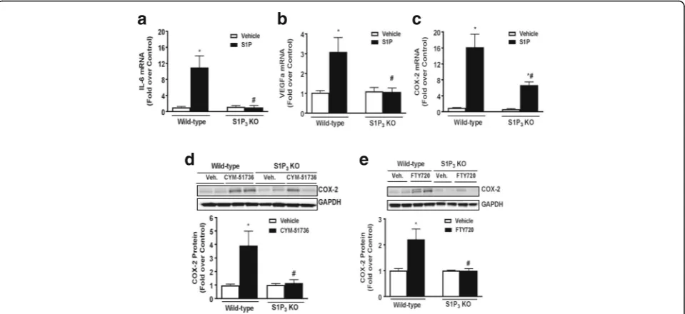 Fig. 2 S1PS1P-treated groups and #normalized to GAPDH and expressed relative to the WT or KO vehicle treated.treated (100 nM, 6 h) WT and S1Prelative to the WT or KO vehicle treated