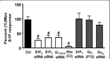 Fig. 3 S1P signals through Gbetween control and GS1P-treated ± inhibitor groups.shown are mean ± SEM from three independent experiments run in triplicate