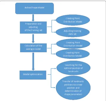 Fig. 2 Stages of determining the shape model in the ASM method