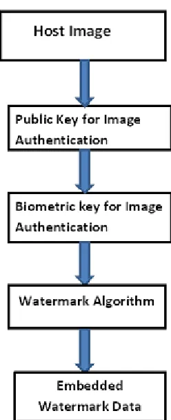 Fig 3: steps in watermark insertion process 
