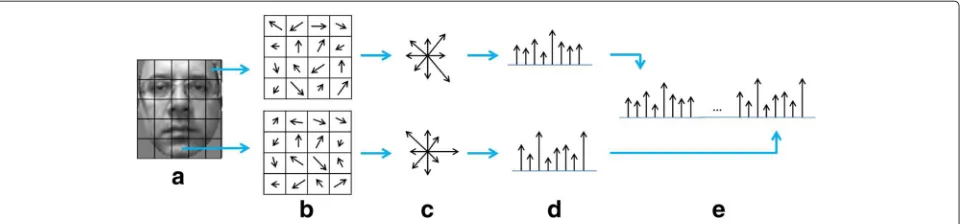 Fig. 5 HOG extraction features representation: image is divided into cells with size ofconstruct the final features vector ( N × N pixel each one (a)