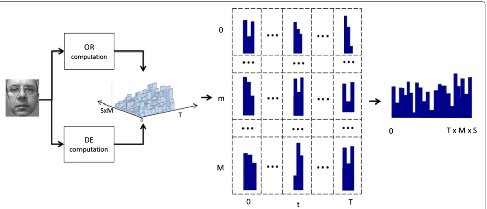 Fig. 6 WLD histogram construction process: the algorithm computes the DE and OR values for each pixel and constructs the 2-D histogram