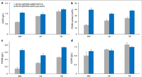 Fig. 3 Effects of medium composition on cell growth and P3HB production. E. coli recombinants harboring different plasmids were cultivated in MM, LB, or TB medium supplemented with 5 g/L acetate at 37 °C for 48 h