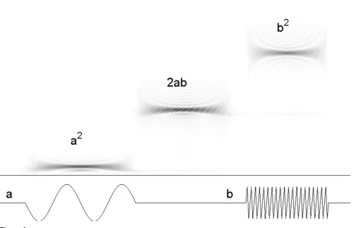 Figure 6Cross-terms in time-frequency representations of signal's energy: (of a signal composed of two sine waves with compact and separated support (below)
