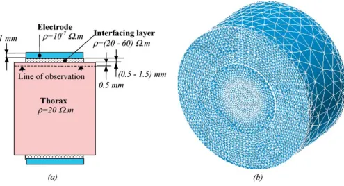 Figure 1Model of electrode-tissue contact. (a) Disposition of the electrodes (cross-section)