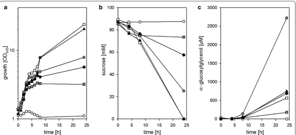 Table 4 Production of α-GG with different C. glutamicum strains carrying the plasmid pEKEx3-ggpPS during cultivation minimal medium with 1% (w/v) sucrose as sole substrate and 1.0 g L−1 urea as sole nitrogen source