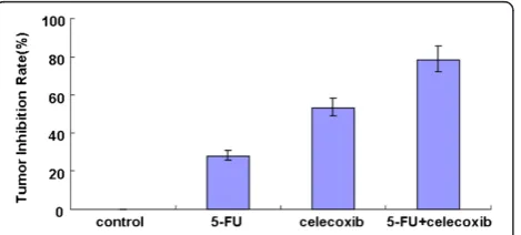 Table 1 The volume and weight of colon tumor※