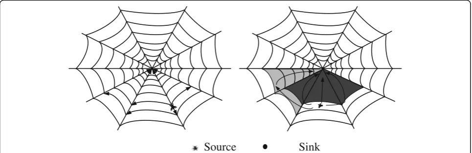 Fig. 1 Schematic diagram of the formation of the disjoint paths of the spider web. In the left diagram of Fig.each of which does not intersect