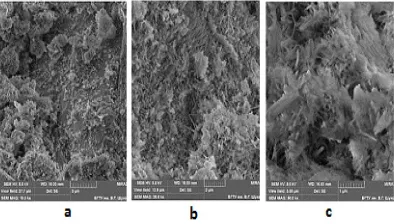 Fig. 4. A microstructure of the high-strength powder concrete on the basis of the fine-grinded quartzitic sandstone