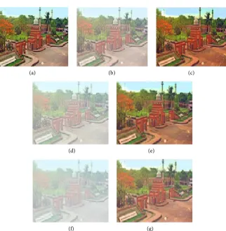 Figure 7. Example of homogeneous hazy scenes with different haze densities and dehazed Image; (c) Dehazed Image; (d) Medium Haze Image; (e) Dehazed Image; (f) More Hazy Image; (g) Dehazed Image