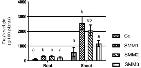 Figure 1. Fresh weight of plant root and shoot in g/100 plants basis at different doses of mill mud application