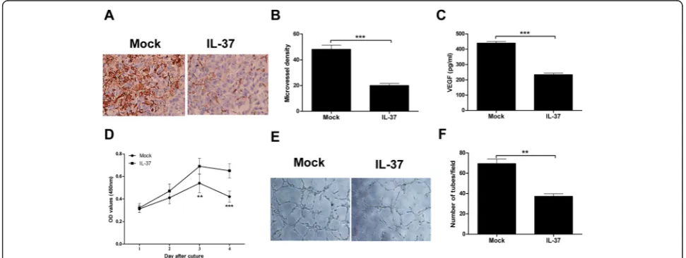 Fig. 3 IL-37 negatively regulates tumor angiogenesis. a Immunohistochemistry staining of transplanted tumors of IL-37- and mock-transfectedH1299 cells using anti-CD34 antibody