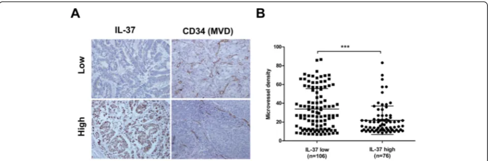 Fig. 4 Decreased IL-37 expression is associated with high MVD in NSCLC patients.analyzed