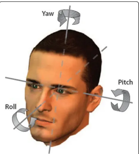 Fig. 1 Three degrees of freedom for face pose change