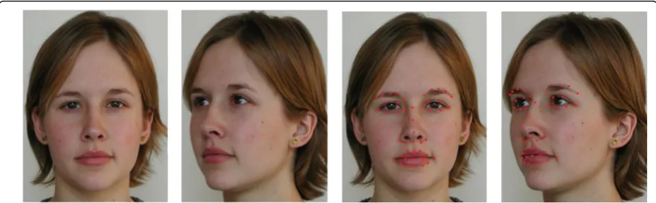 Fig. 2 Schematic diagram of important characteristics detection. a Frontal face to be identified