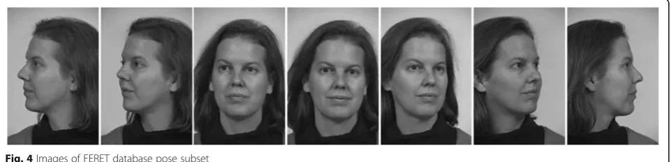 Fig. 4 Images of FERET database pose subset