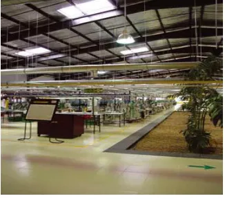 Figure 2: Bayer Factory daylighting system (Source: Daylight in building, Solar Heating and Cooling Programme International Energy Agency) 