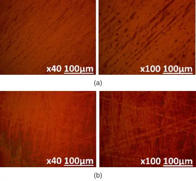Fig. 5. Optical microscopy image of 430Ti morphology after corrosion in (a) 1% NaCl solution and (b) 6% NaCl solution