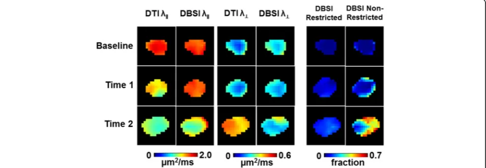 Fig. 2 DTI- and DBSI-derived parametric maps of one representative EAE optic nerve (eye 1) from baseline (top row), time 1 (middle row, onset),and time 2 (bottom row, onset of the fellow eye)