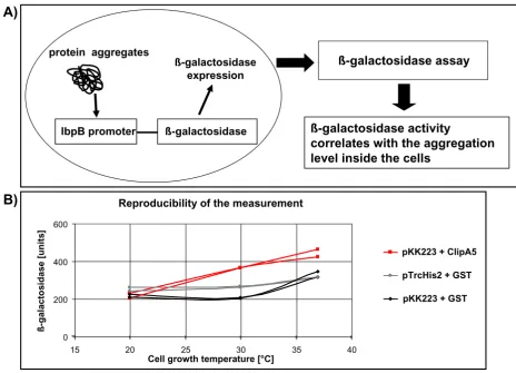 Figure 1Mechanism of function and reliability of the protein aggregate-dependent probeMechanism of function and reliability of the protein aggregate-dependent probe