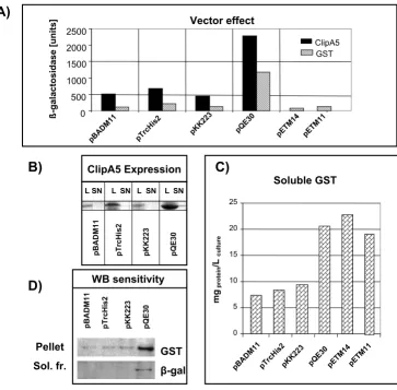 Figure 3Effect of the vector features on the aggregation of the expressed proteinEffect of the vector features on the aggregation of the expressed protein