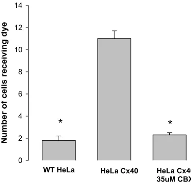 Figure 2.2 