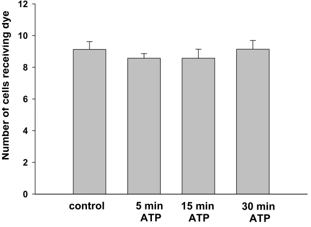 Figure 2.3 