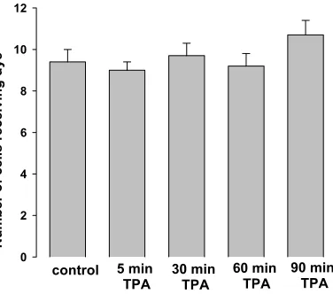Figure 2.7 