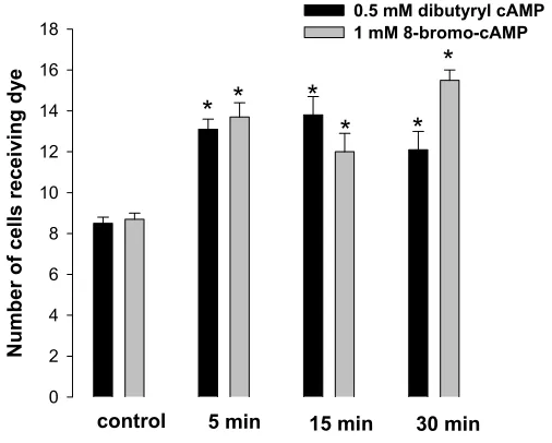 Figure 2.9 