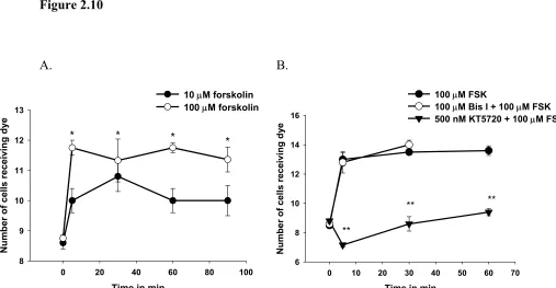 Figure 2.10 