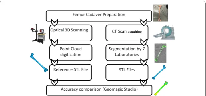 Fig. 1 Flowchart of methodology. On the left column different steps of making reference model is shown including optical 3D scanning, point cloud digitization and creating STL files