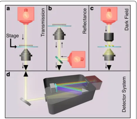 Fig. 1 MExS configurations. a Transmission configuration: light passes through the sample, and transmitted light is collected by the objective