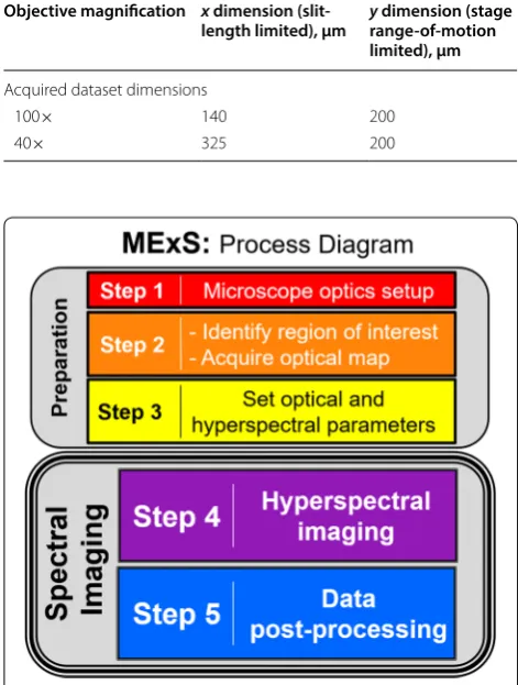 Table 1 Acquired dataset dimensions for various objective magnifications