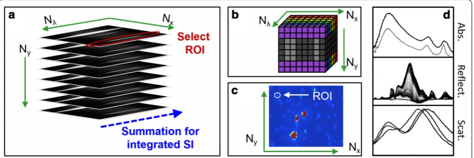 Fig. 4 Post-processing of acquired data. a As-acquired stack of 2D matrices. Integration along the Nλ-axis creates an integrated spectrum image (SI) as shown in c