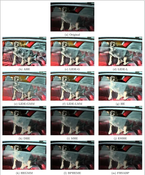 Fig. 6 An example of image from MIT-Adobe FiveK dataset (a) and the output from AHE (b) and LIDE (c–f) as well as from other enhancementtechniques (g–m)