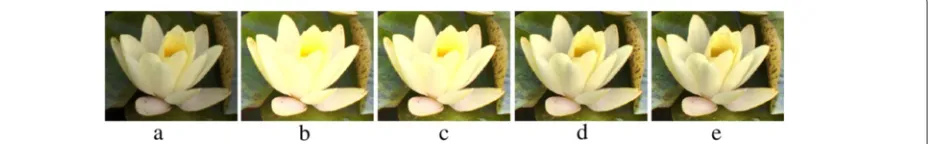 Fig. 1 A zoom-in portion of image from Fig. 2and a as well as from the image processed by LIDE with LMM using 3, 5, 10, and 20 components in b, c, d, e, respectively