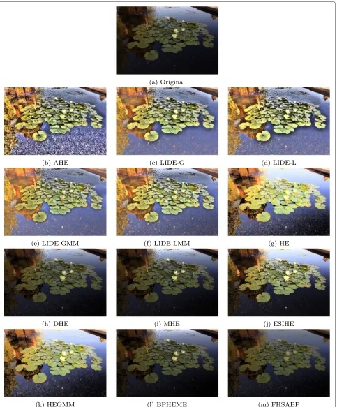 Fig. 2 An example of image from MIT-Adobe FiveK dataset (a) and the output from AHE (b) and LIDE (c–f) as well as from other enhancementtechniques (g–m)