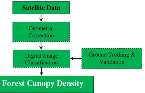 Figure 2 Paradigm of the study. 