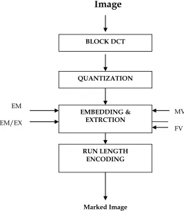 Figure.1.1 Multimedia security using extrinsic and intrinsic information.  