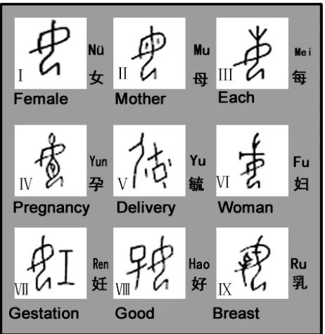 Figure 1. Oracle and bones inscriptions correlated to Nü. 