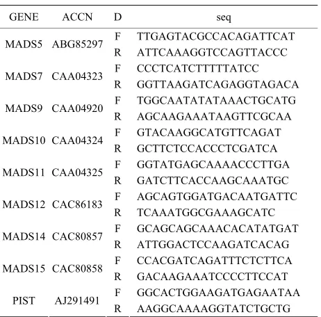 Table 3. primer sequences for MADS box specific genes. 