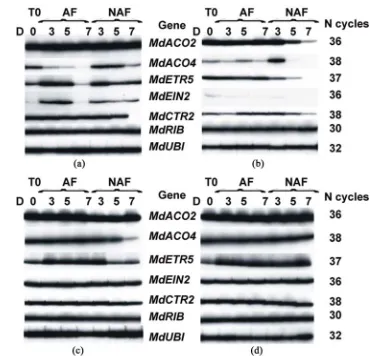 Figure 1scripts in seed decreased in both AF and NAF although 