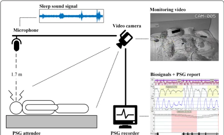 Fig. 1 Acquisition of sleep sounds and PSG reports in sleep laboratory. Audio data and PSG reports were recorded from the PSG system