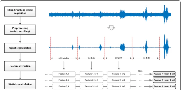 Fig. 2 Audio feature extraction framework. Audio features were extracted in every 5 s windows