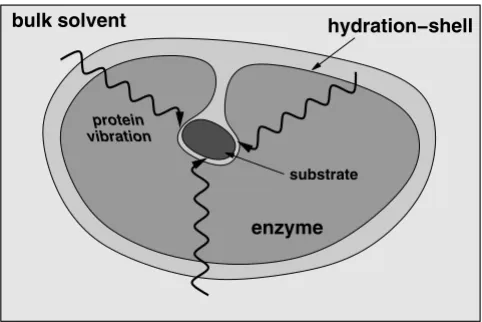 Figure 9structure, dynamics and functionA schematic representation of the integrated view of enzyme A schematic representation of the integrated view of enzyme structure, dynamics and function