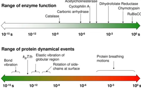 Figure 1of enzyme catalyzed reactions and internal protein dynamics Boltzmann's constant, which is commonly used in transition state theory; The range of time-scales involved in substrate turnover step are similarThe range of time-scales involved in substr