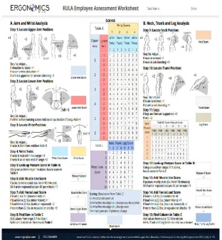Figure 1. REBA employee assessment worksheet   