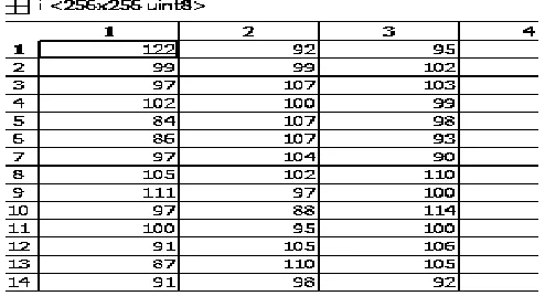 Figure 1: Gray scale image Matrix 