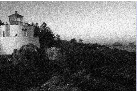 Figure 5: Gaussian noise added image 